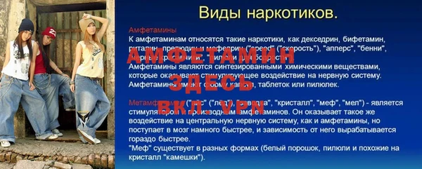 прущие грибы Володарск